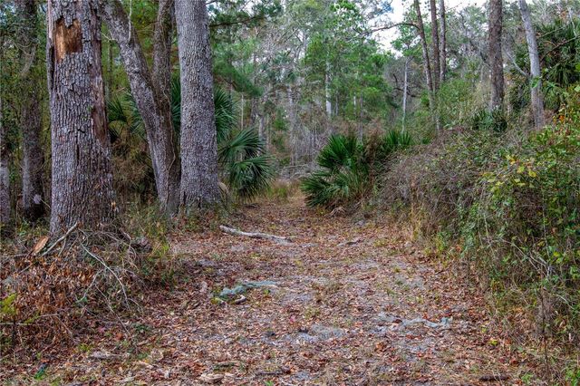 402 SE 709 STREET, Old Town, FL 32680