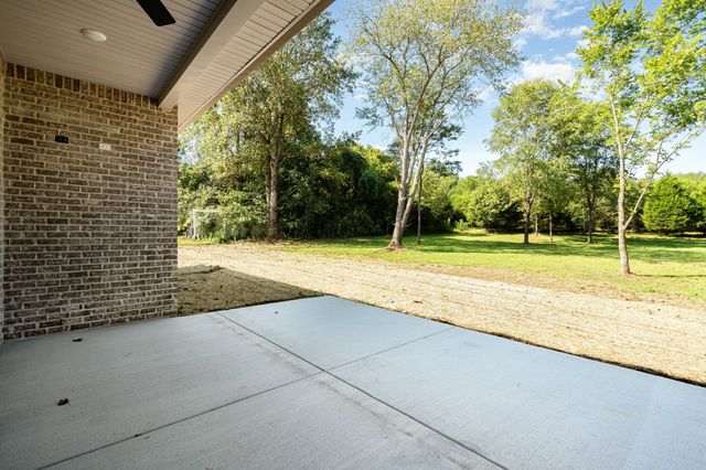 412 Harsh Ln, Castalian Springs, TN 37031