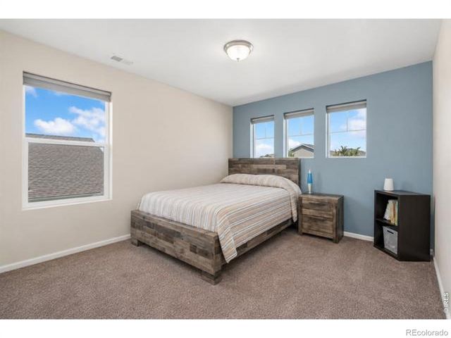 5259 Odessa Lake Street, Timnath, CO 80547