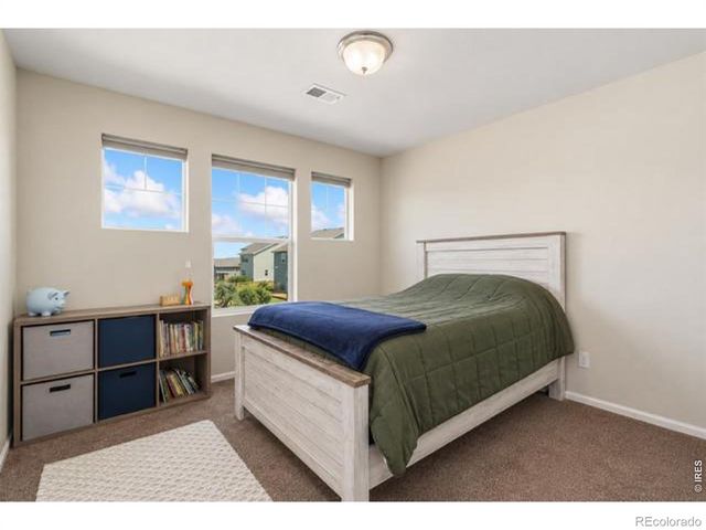 5259 Odessa Lake Street, Timnath, CO 80547