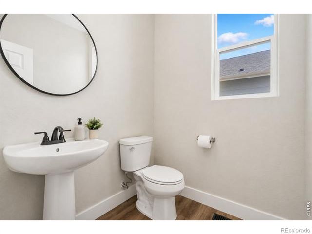 5259 Odessa Lake Street, Timnath, CO 80547