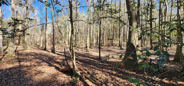 0 Bama Road, Cottageville, SC 29435