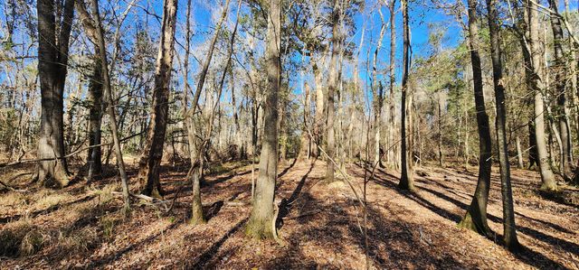 0 Bama Road, Cottageville, SC 29435