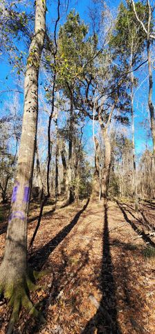 0 Bama Road, Cottageville, SC 29435
