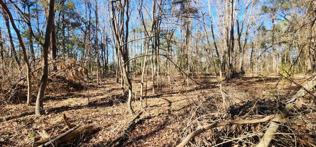 0 Bama Road, Cottageville, SC 29435