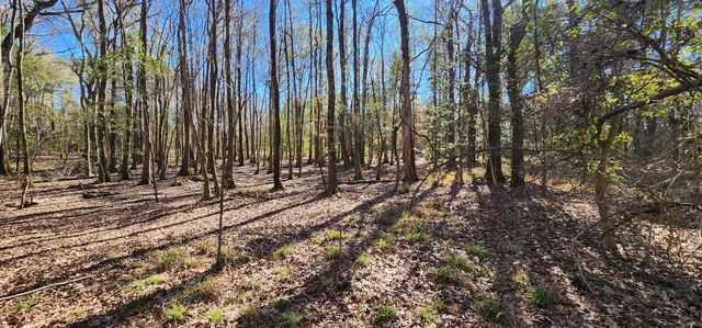0 Bama Road, Cottageville, SC 29435