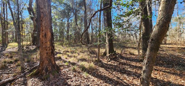 0 Bama Road, Cottageville, SC 29435