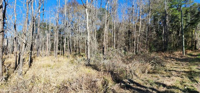 0 Bama Road, Cottageville, SC 29435
