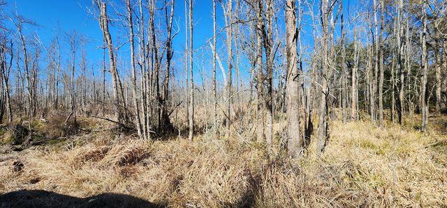 0 Bama Road, Cottageville, SC 29435