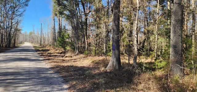 0 Bama Road, Cottageville, SC 29435