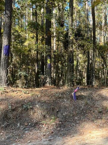 0 Bama Road, Cottageville, SC 29435
