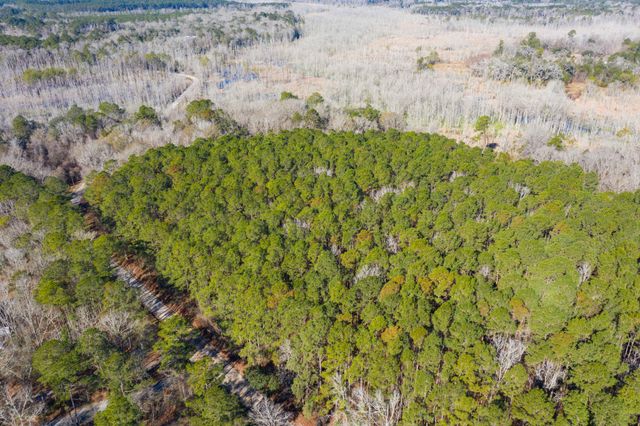 0 Bama Road, Cottageville, SC 29435
