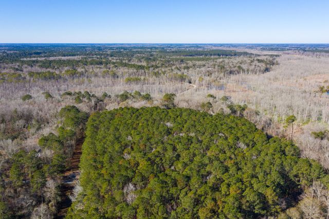 0 Bama Road, Cottageville, SC 29435