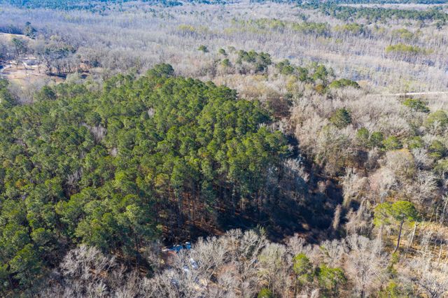 0 Bama Road, Cottageville, SC 29435