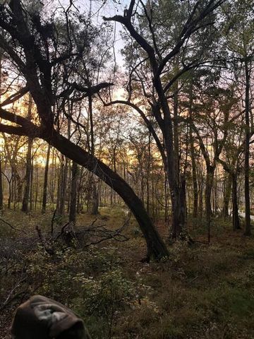 0 Bama Road, Cottageville, SC 29435