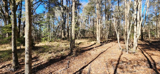 0 Bama Road, Cottageville, SC 29435