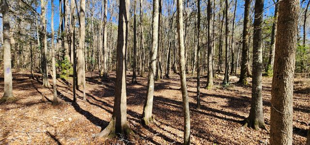 0 Bama Road, Cottageville, SC 29435