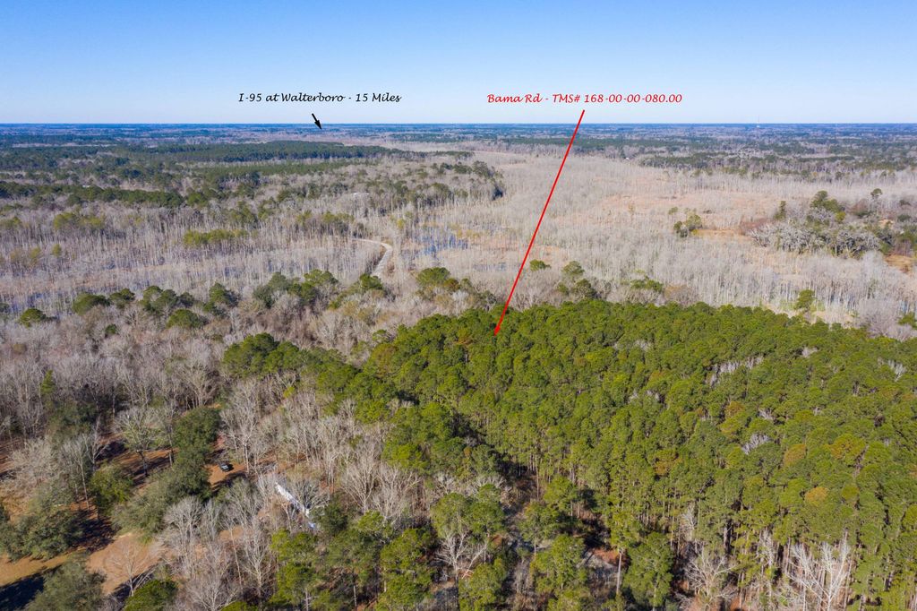 0 Bama Road, Cottageville, SC 29435