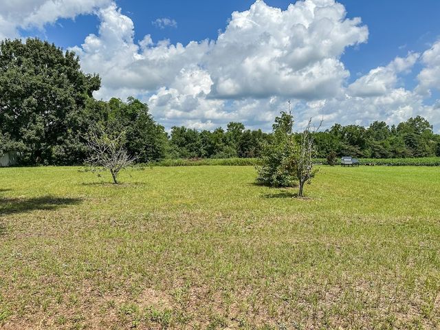 6569 E State Highway 52, Hartford, AL 36344