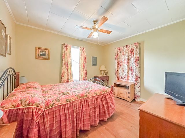 6569 E State Highway 52, Hartford, AL 36344