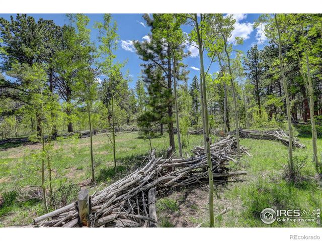 132 Nicola Way, Red Feather Lakes, CO 80545