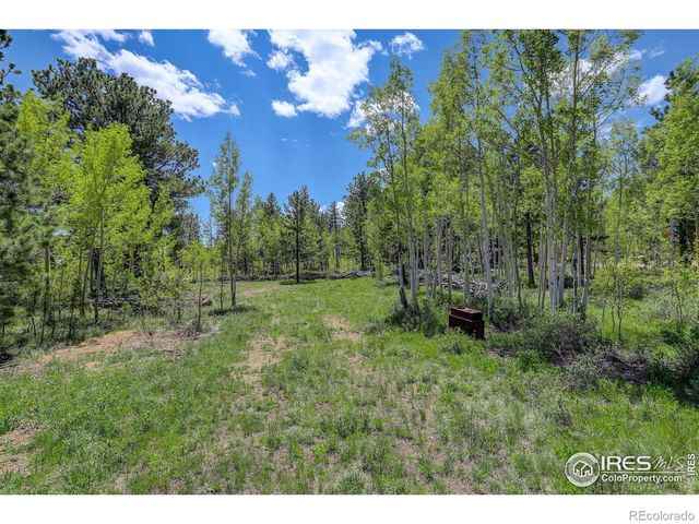 132 Nicola Way, Red Feather Lakes, CO 80545
