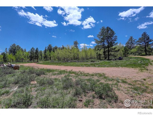132 Nicola Way, Red Feather Lakes, CO 80545