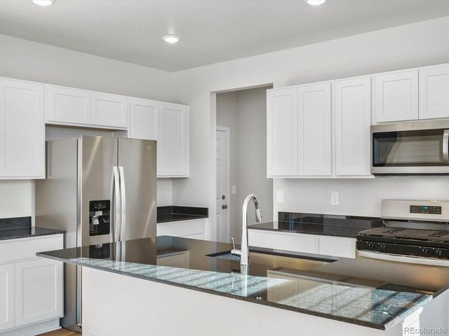 1636 Yampa River Dr, Windsor, CO 80550