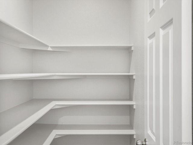 1636 Yampa River Dr, Windsor, CO 80550