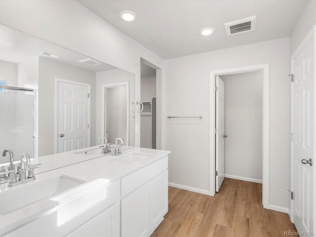 1636 Yampa River Dr, Windsor, CO 80550