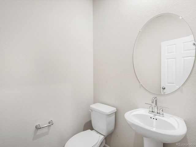 1636 Yampa River Dr, Windsor, CO 80550