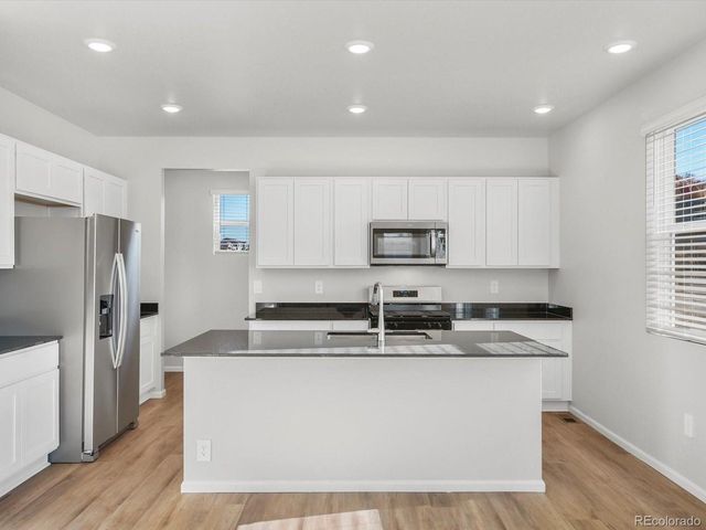 1636 Yampa River Dr, Windsor, CO 80550