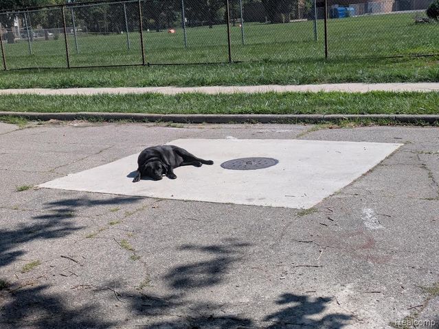 459 Continental Street, Detroit, MI 48215