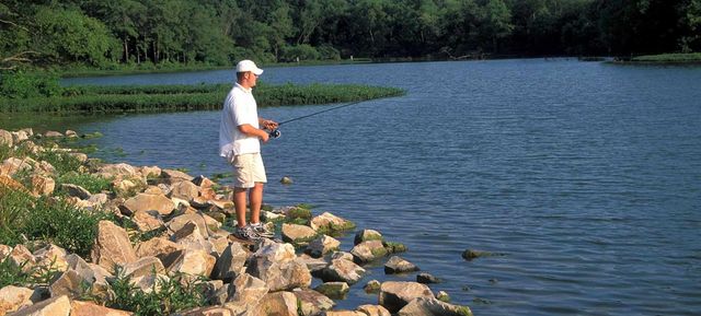 8140 Fm 513 S, Lone Oak, TX 75453