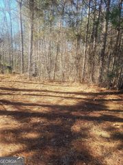 1385 Pebble Ridge Drive, Hampton, GA 30228