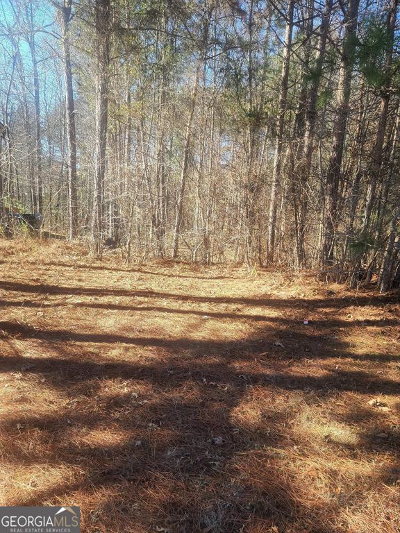 1385 Pebble Ridge Drive, Hampton, GA 30228