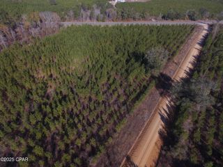 TBD Lot 1 Peanut Road, Cottondale, FL 32431
