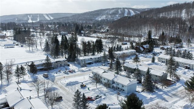 17 Evergreen Drive, Ellicottville, NY 14731