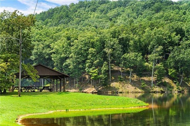 875 Trinton Drive, Ranger, GA 30734