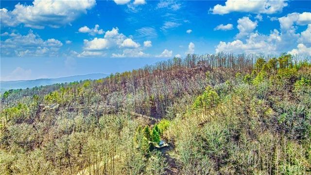 875 Trinton Drive, Ranger, GA 30734