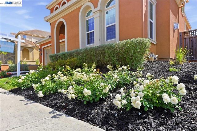 1718 N Terracina Dr, Dublin, CA 94568