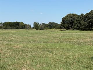 TBD 3 County Road 1168 Tract 3, Brashear, TX 75420