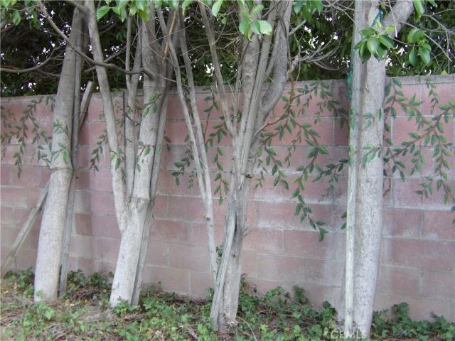 19260 Calahan Street, Northridge, CA 91324