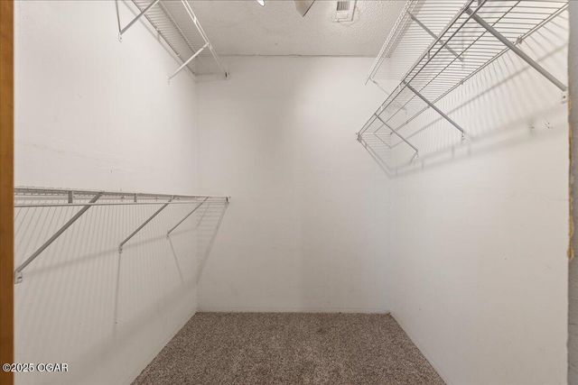 3279 Wildcat Creek Blvd, Fayetteville, AR 72704