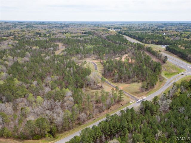 Lot 10 Pine Ridge, Coker, AL 35452