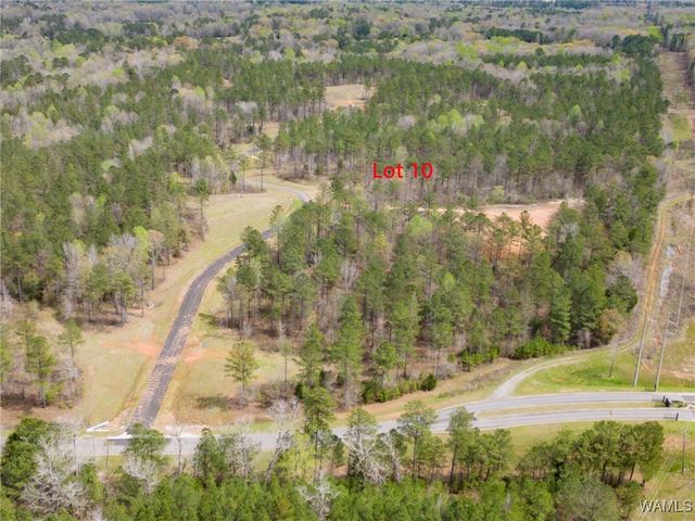 Lot 10 Pine Ridge, Coker, AL 35452