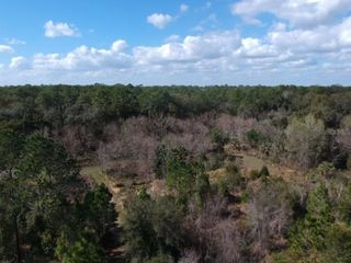00 Crooked Mile ROAD, Paisley, FL 32767