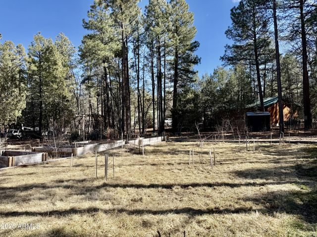 3918 MEADOW VIEW Drive, Lakeside, AZ 85929