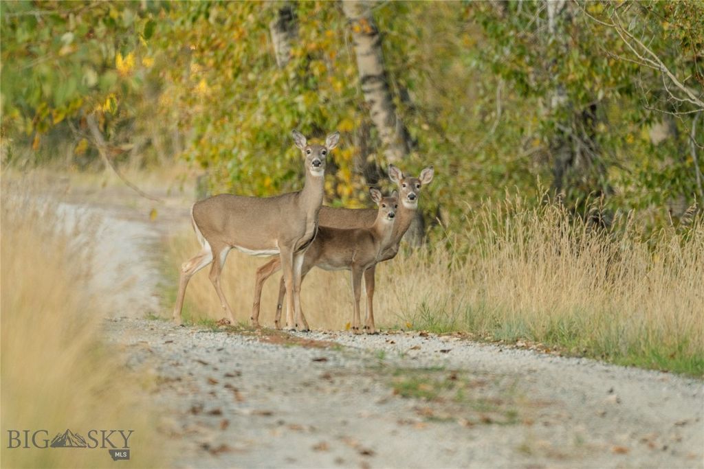 104 Running River Way, Absarokee, MT 59001 photo 4