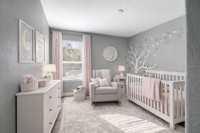 3407 CARDINAL FEATHER DRIVE, Land O Lakes, FL 34638